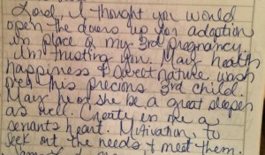 Aug. 2013 journal entry